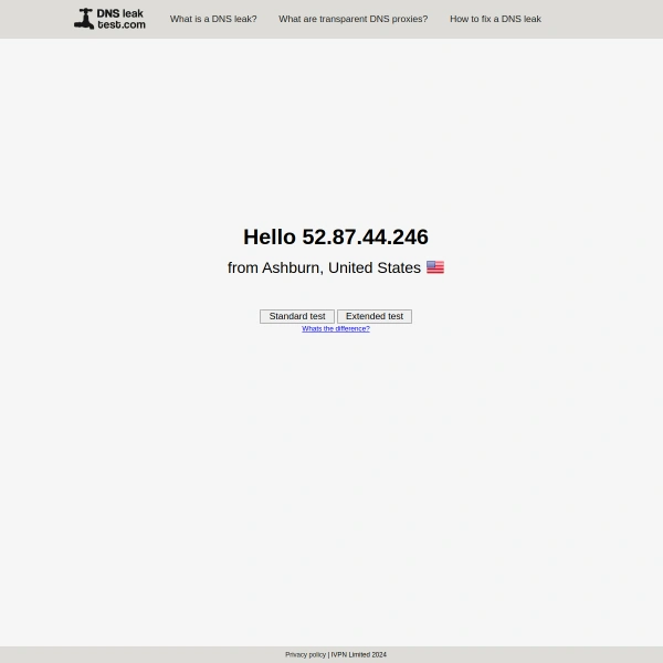 DNS Leak Test